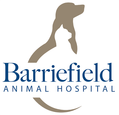 Barriefield Animal Hospital